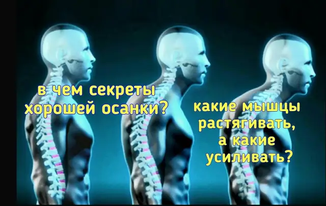 Как массаж влияет на мышцы, и какие изменения он вызывает?