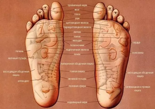 Секреты точечного массажа ступней